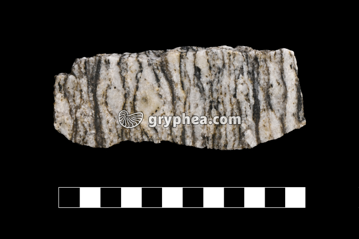 Gneiss oeillé - échantillon - gryphea.com